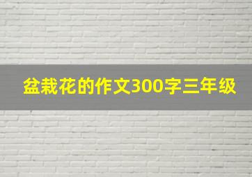 盆栽花的作文300字三年级