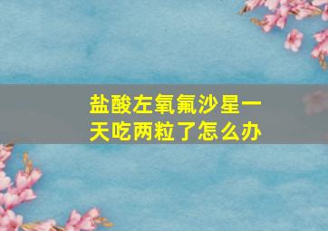 盐酸左氧氟沙星一天吃两粒了怎么办