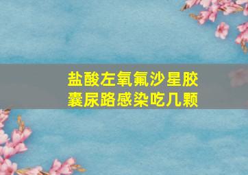 盐酸左氧氟沙星胶囊尿路感染吃几颗