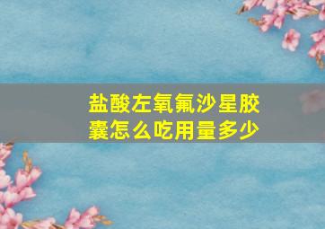 盐酸左氧氟沙星胶囊怎么吃用量多少