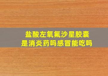 盐酸左氧氟沙星胶囊是消炎药吗感冒能吃吗