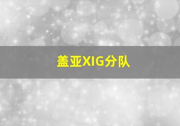 盖亚XIG分队