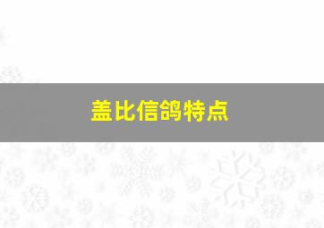 盖比信鸽特点