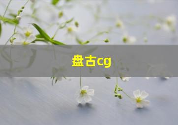 盘古cg