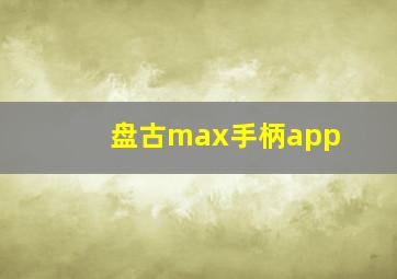 盘古max手柄app