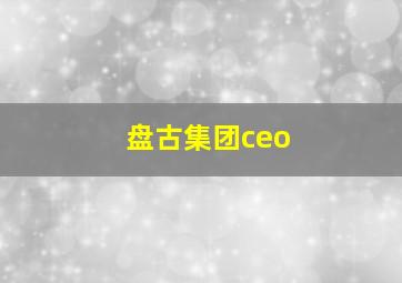 盘古集团ceo