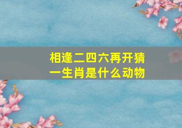 相逢二四六再开猜一生肖是什么动物