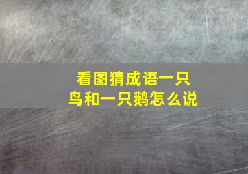 看图猜成语一只鸟和一只鹅怎么说