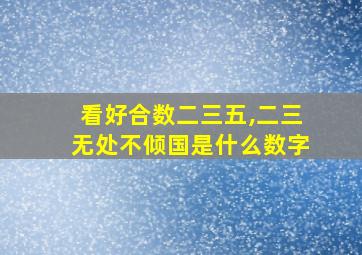 看好合数二三五,二三无处不倾国是什么数字