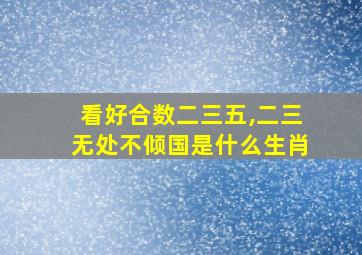 看好合数二三五,二三无处不倾国是什么生肖