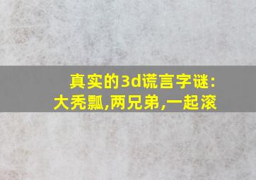 真实的3d谎言字谜:大秃瓢,两兄弟,一起滚