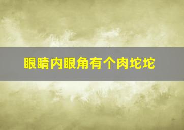 眼睛内眼角有个肉坨坨