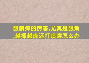 眼睛痒的厉害,尤其是眼角,越揉越痒还打喷嚏怎么办