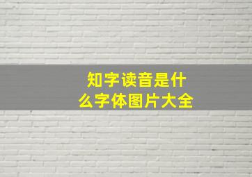 知字读音是什么字体图片大全