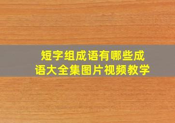 短字组成语有哪些成语大全集图片视频教学