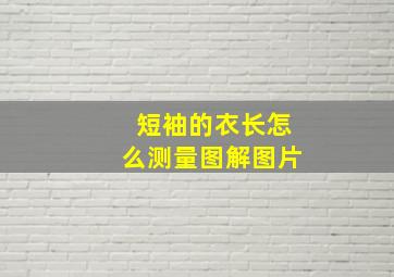 短袖的衣长怎么测量图解图片