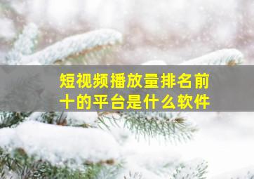 短视频播放量排名前十的平台是什么软件