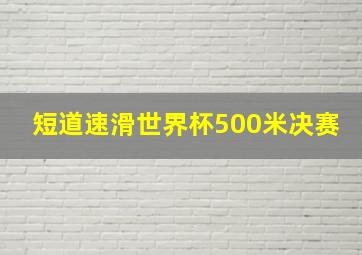 短道速滑世界杯500米决赛