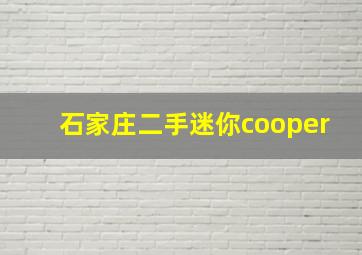 石家庄二手迷你cooper