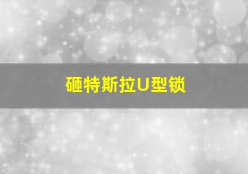 砸特斯拉U型锁