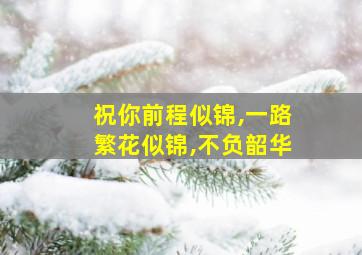 祝你前程似锦,一路繁花似锦,不负韶华