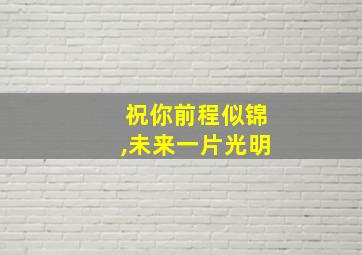 祝你前程似锦,未来一片光明