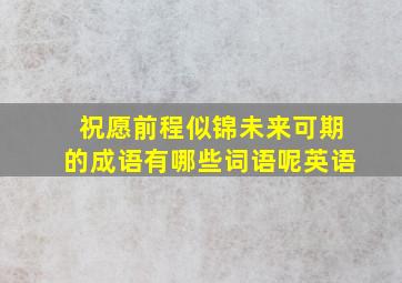 祝愿前程似锦未来可期的成语有哪些词语呢英语