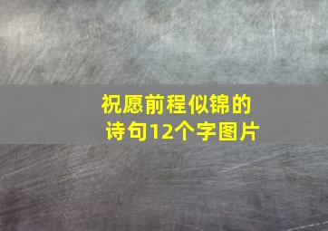 祝愿前程似锦的诗句12个字图片