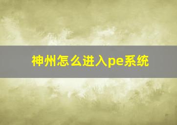 神州怎么进入pe系统