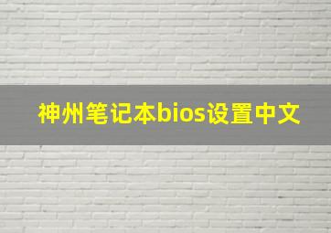 神州笔记本bios设置中文