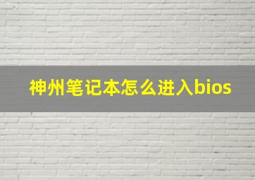 神州笔记本怎么进入bios