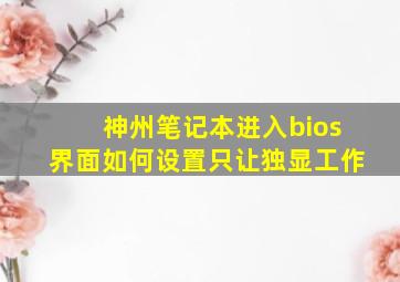 神州笔记本进入bios界面如何设置只让独显工作