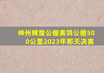 神州辉煌公棚赛鸽公棚500公里2023年那天决赛