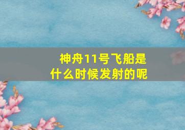 神舟11号飞船是什么时候发射的呢