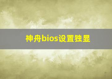 神舟bios设置独显