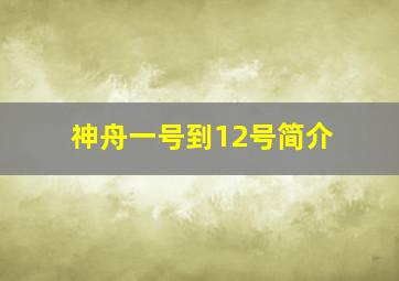 神舟一号到12号简介