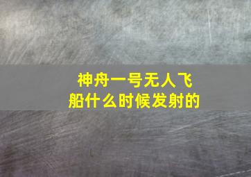 神舟一号无人飞船什么时候发射的