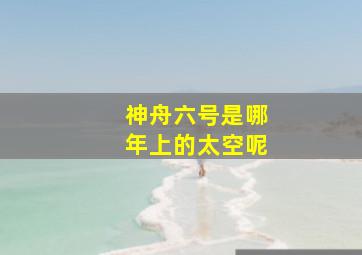 神舟六号是哪年上的太空呢