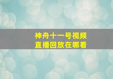 神舟十一号视频直播回放在哪看