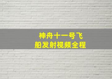 神舟十一号飞船发射视频全程