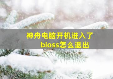 神舟电脑开机进入了bioss怎么退出