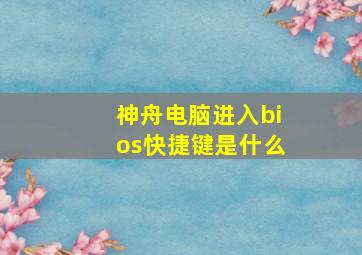 神舟电脑进入bios快捷键是什么