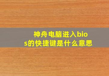 神舟电脑进入bios的快捷键是什么意思