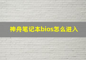 神舟笔记本bios怎么进入