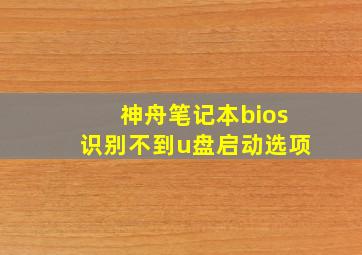 神舟笔记本bios识别不到u盘启动选项