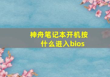 神舟笔记本开机按什么进入bios