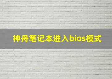 神舟笔记本进入bios模式