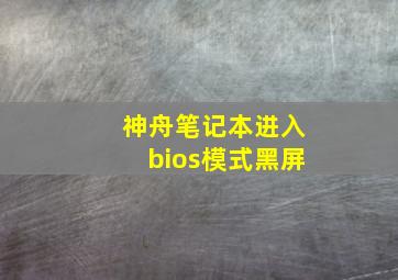 神舟笔记本进入bios模式黑屏