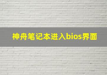 神舟笔记本进入bios界面