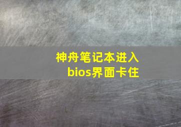 神舟笔记本进入bios界面卡住